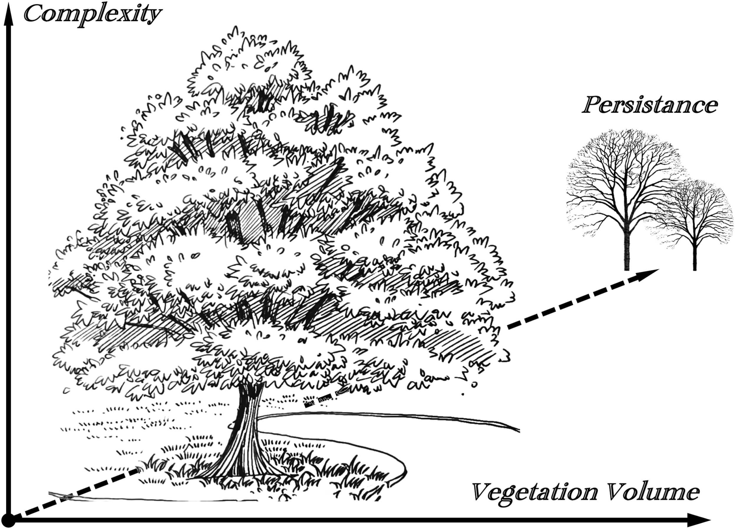 Vegetation features